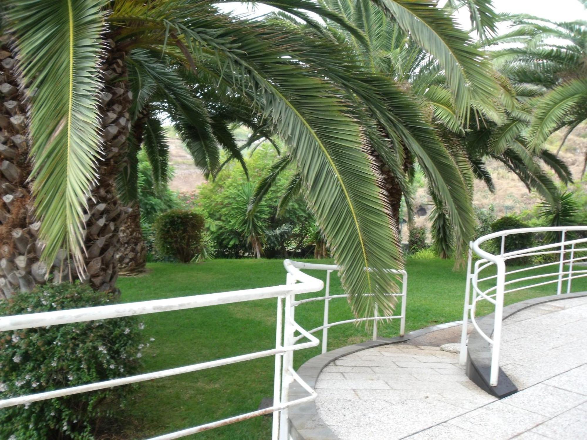 Hotel Escola Funchal  Eksteriør billede