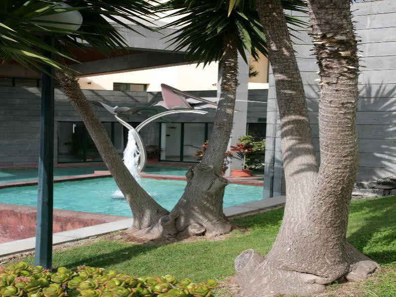 Hotel Escola Funchal  Eksteriør billede